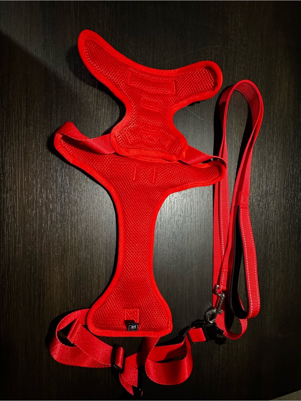 Bright Red Padded Dog Harness with Matching Leash